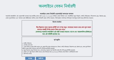 www.pay fixation.gov.bd 2021, www.mof.gov.bd pay fixation, পে ফিক্সেশন ২০২১, www.pay fixation.gov.bd 2020, পে ফিক্সেশনের নিয়ম, Pay Fixation 2015, Online pay fixation, ibas++ salary in bangladesh 2020-21,