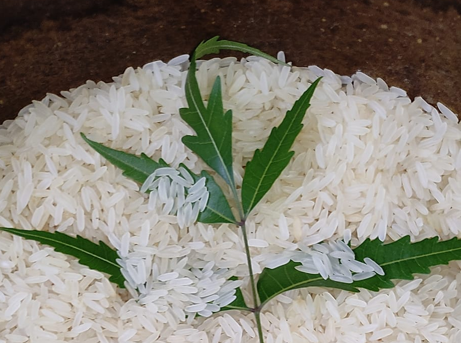 Rice preservation Tips । চাল সংরক্ষণের কিছু প্রয়োজনীয় টিপস দেখুন