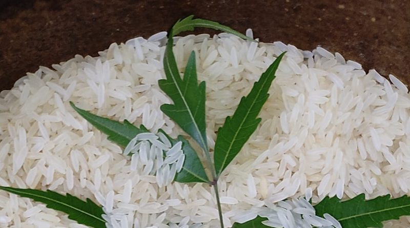 Rice preservation Tips । চাল সংরক্ষণের কিছু প্রয়োজনীয় টিপস দেখুন