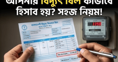 বিদ্যুৎ বিলের গোলকধাঁধা
