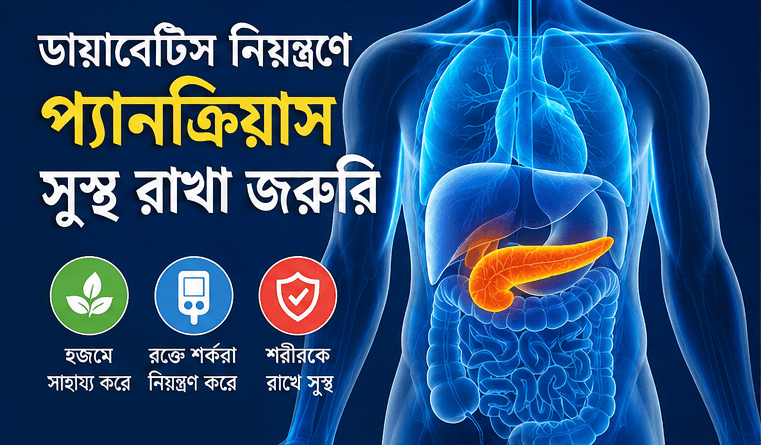 ডায়াবেটিস নিয়ন্ত্রণে প্যানক্রিয়াজের সুস্থতা জরুরি