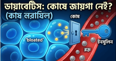 ডায়াবেটিস কি আসলেই কোনো রোগ নয়