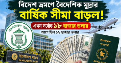 বিদেশ ভ্রমণে বৈদেশিক মুদ্রার বার্ষিক সীমা বাড়ল